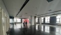 Chúng tôi cần nhượng nhanh văn phòng đã thiết kế đẹp, view góc 240 m2 tại tòa Roman Plaza, Tố Hữu
